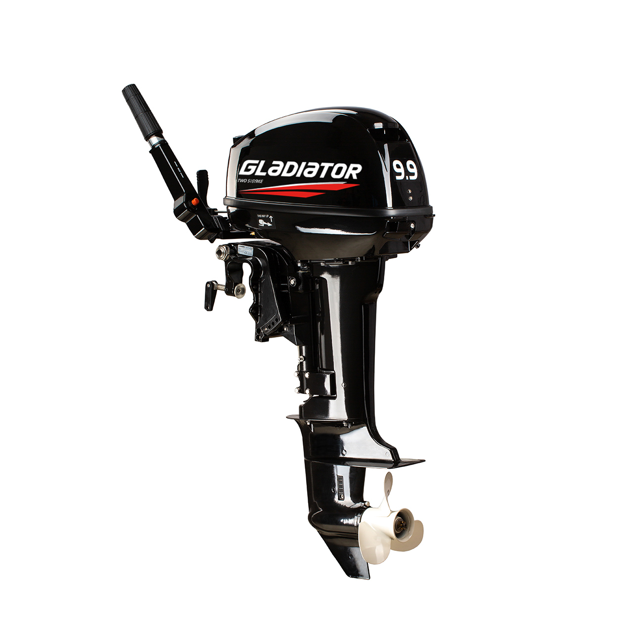 ЛОДОЧНЫЙ МОТОР GLADIATOR G9.9FHS в Кисловодске