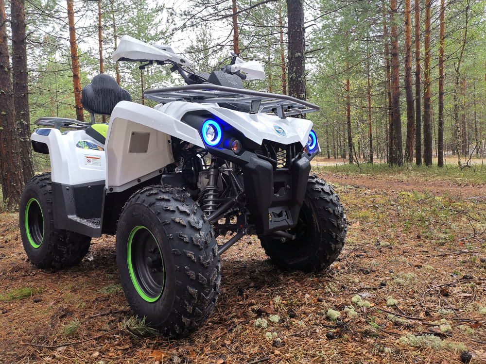 Квадроцикл PROMAX RENEGADE 280 (2025) в Кисловодске