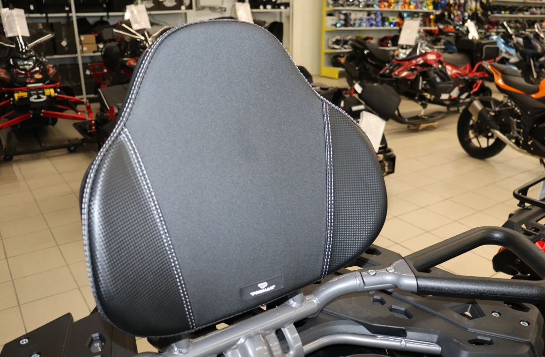 Квадроцикл PROMAX RENEGADE 300 LONG WINCH PRO в Кисловодске