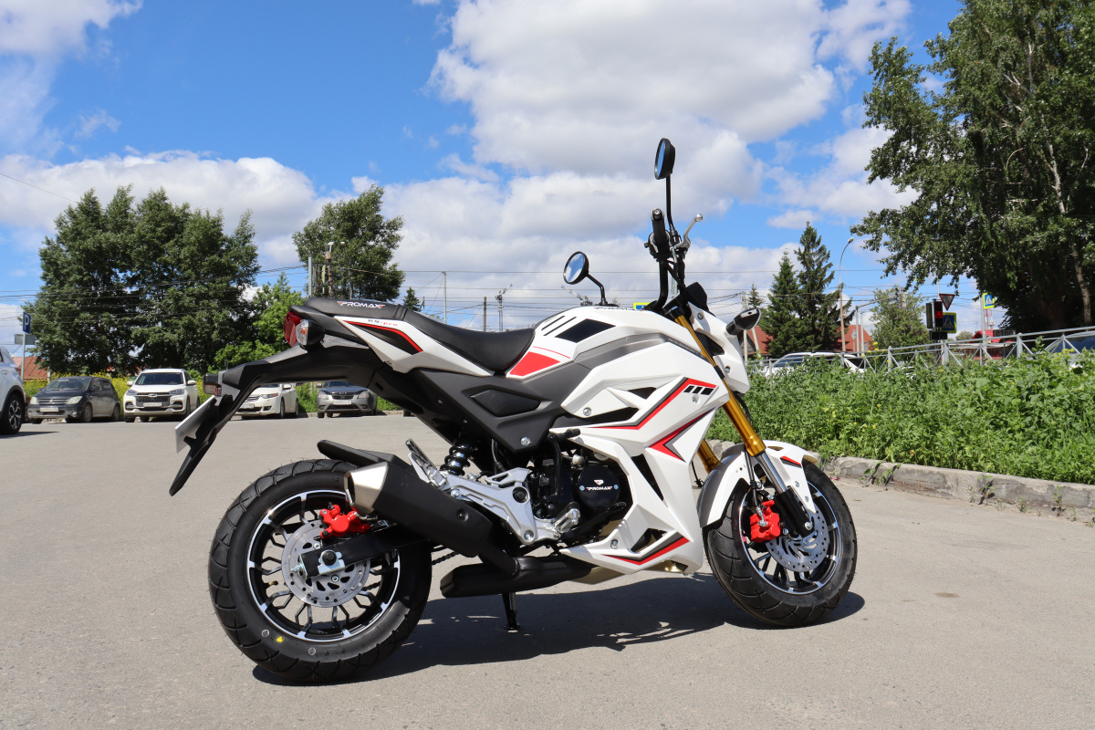 Мотоцикл PROMAX STRYKER 200(49) 2.0 в Кисловодске