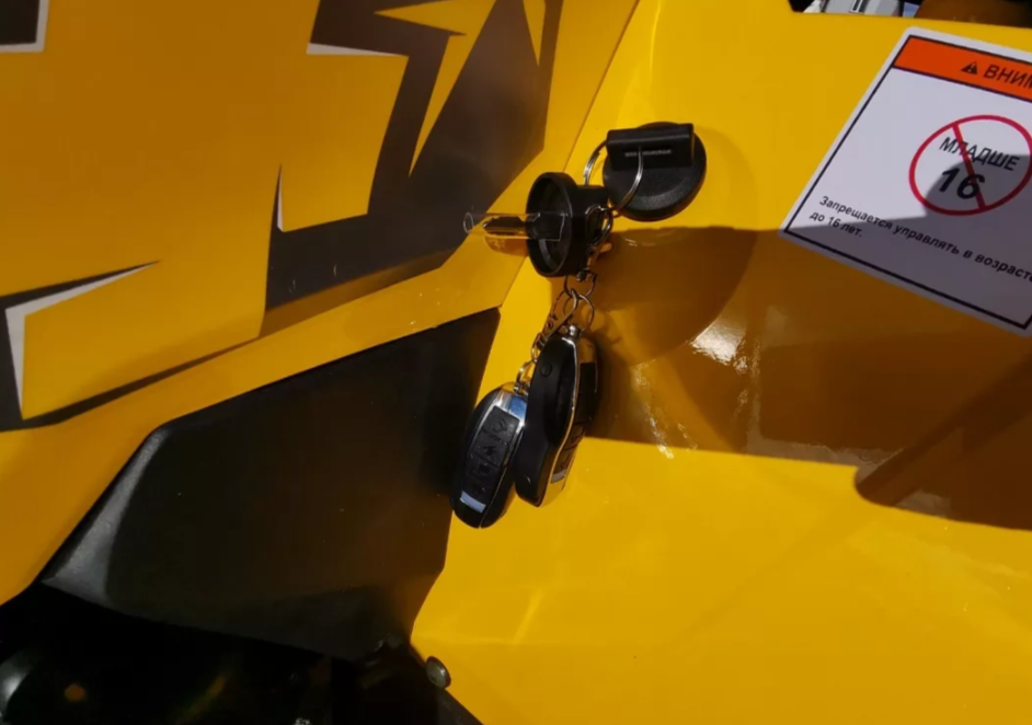 Квадроцикл MOTOLAND (МОТОЛЕНД) VOX200 WILD TRACK X PRO (баланс. вал) в Кисловодске