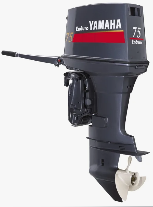 Лодочный мотор YAMAHA E75BMHDL в Кисловодске