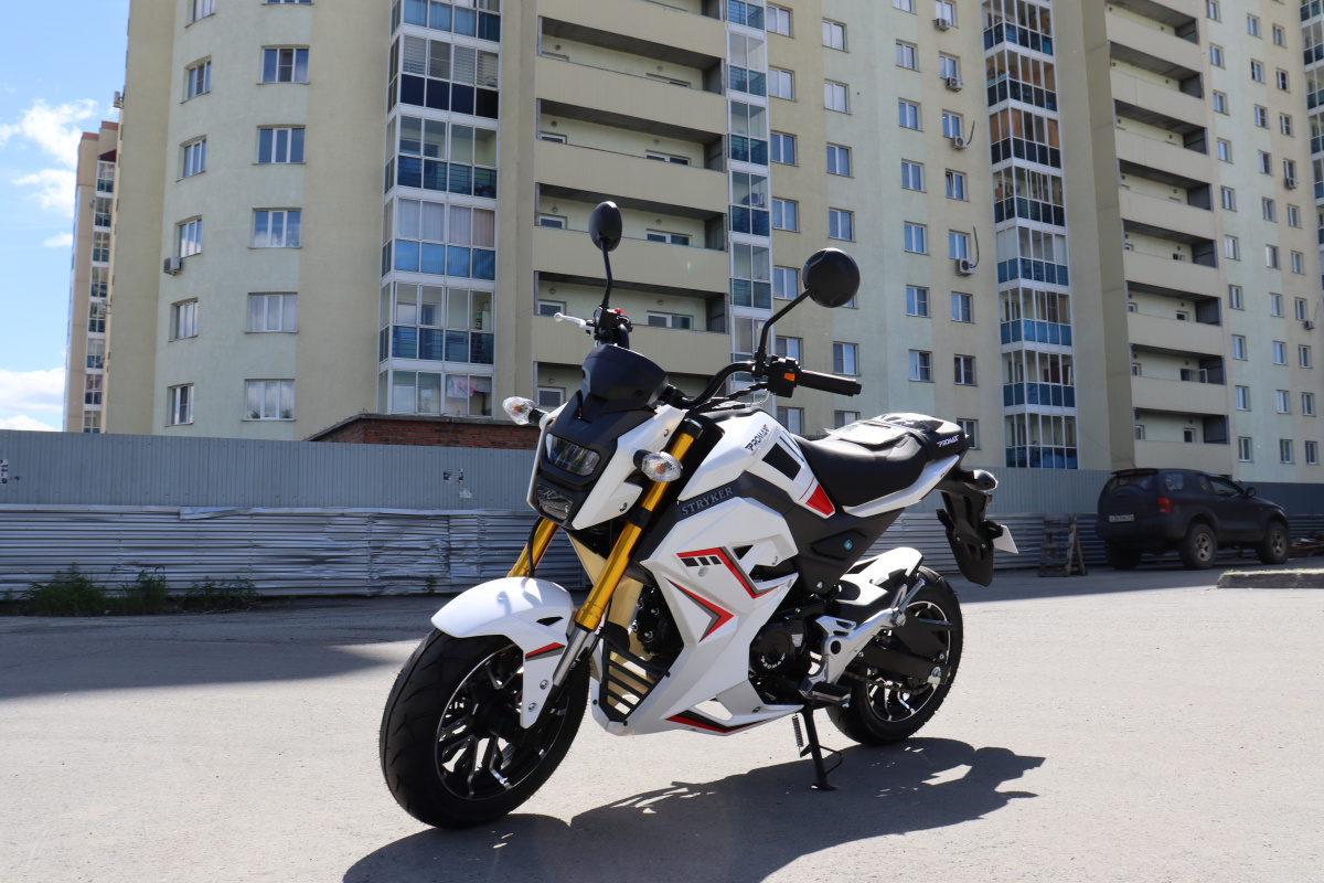 Мотоцикл PROMAX STRYKER 200(49) 2.0 в Кисловодске