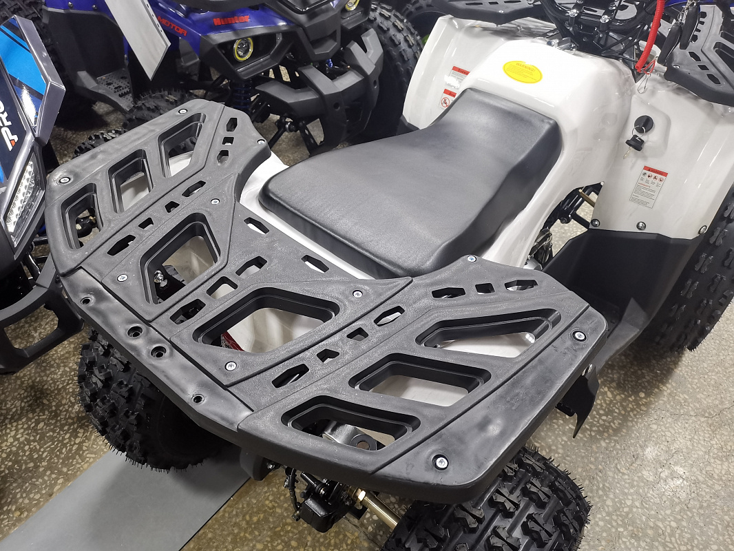 Квадроцикл PROMAX WILD 175 LUX в Кисловодске