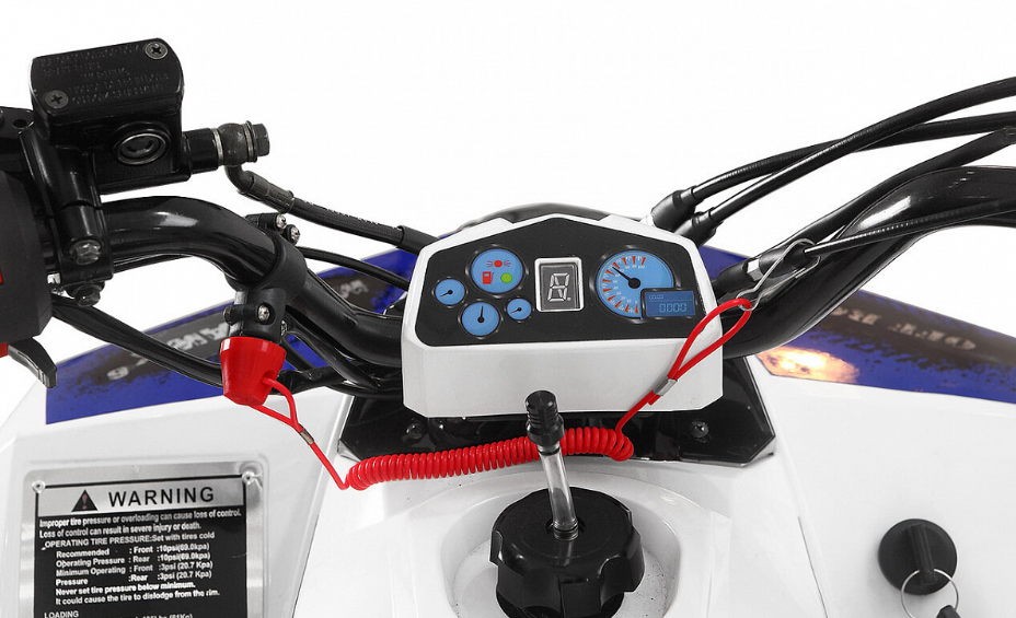 Квадроцикл Yacota Raposa 130 PRO-SPORT в Кисловодске