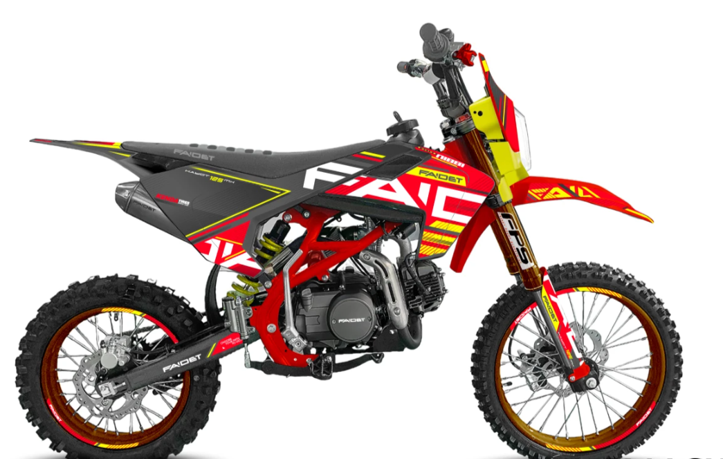 Питбайк FAIDET KAYOT 150E-PRO 17/14 в Кисловодске