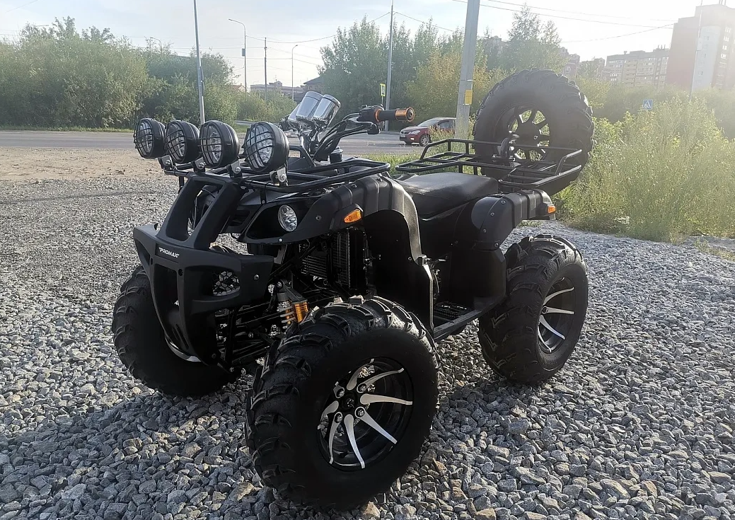 Квадроцикл PROMAX LEO 300 Max (кардан) в Кисловодске