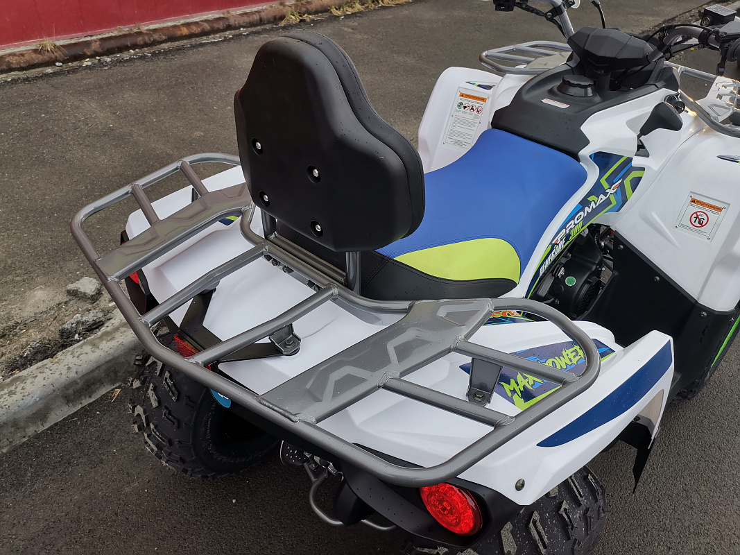 Квадроцикл PROMAX RENEGADE 280 LUX (2025) в Кисловодске
