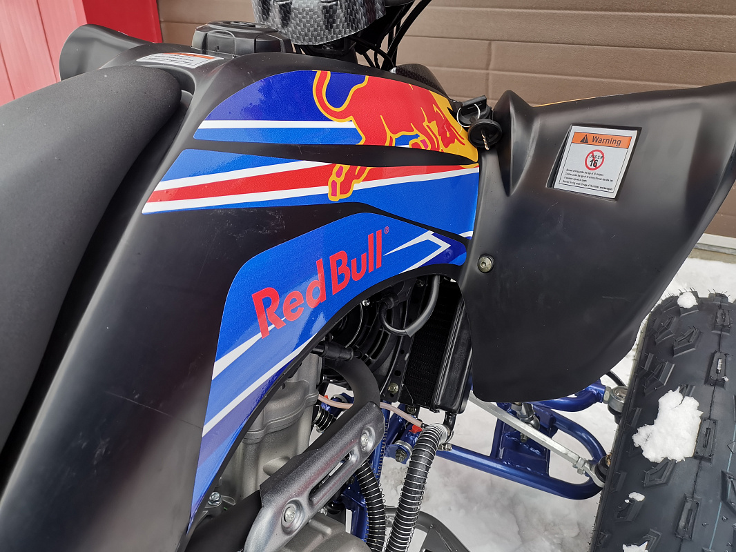 Квадроцикл PROMAX RAPTOR 300 NEW RedBull в Кисловодске