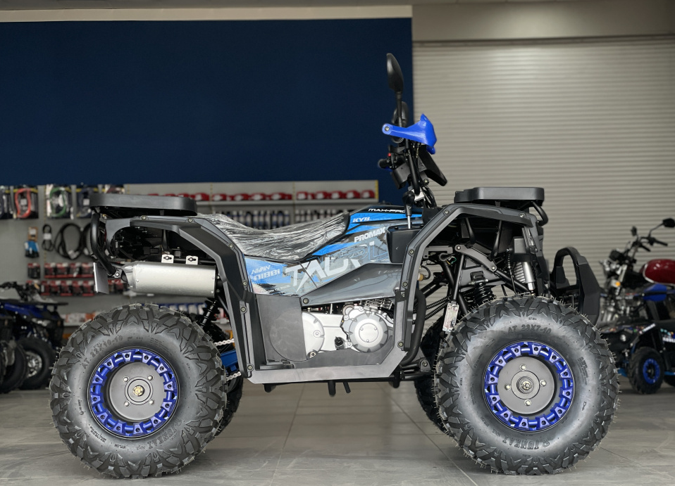 Квадроцикл PROMAX TAURUS 300 в Кисловодске