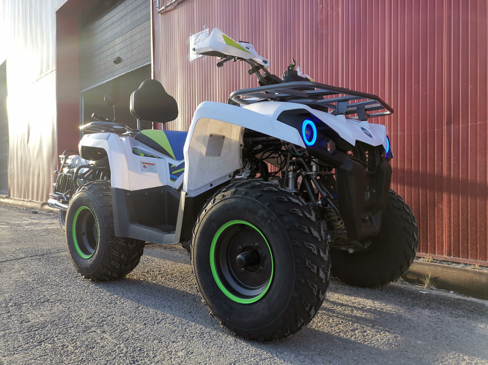 Квадроцикл PROMAX RENEGADE 280 LUX (2025) в Кисловодске