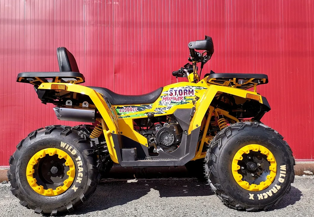 Квадроцикл PROMAX STORM 280 LUX в Кисловодске