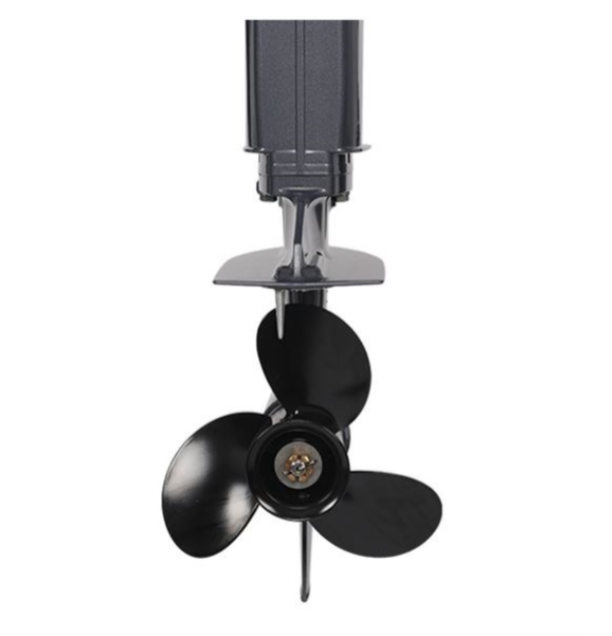 Лодочный мотор ALLFA CG Т40FW S в Кисловодске