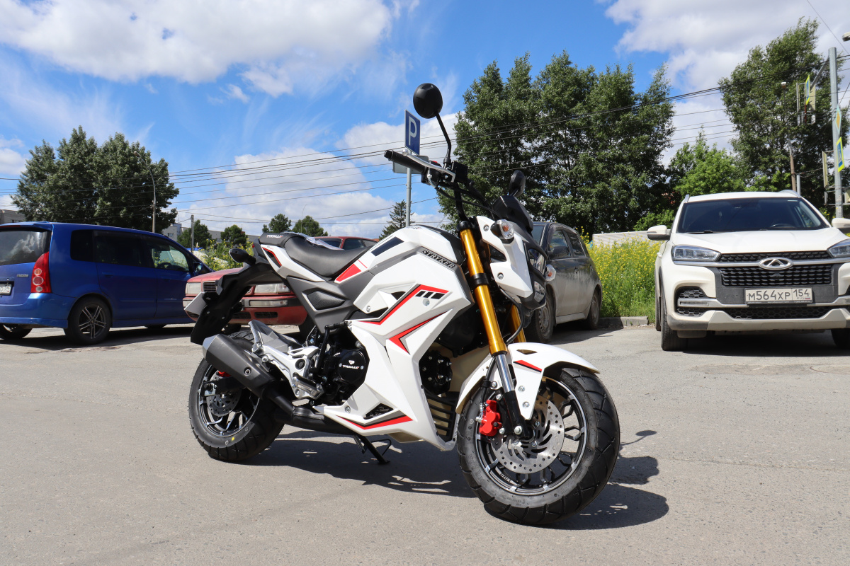 Мотоцикл PROMAX STRYKER 200(49) 2.0 в Кисловодске