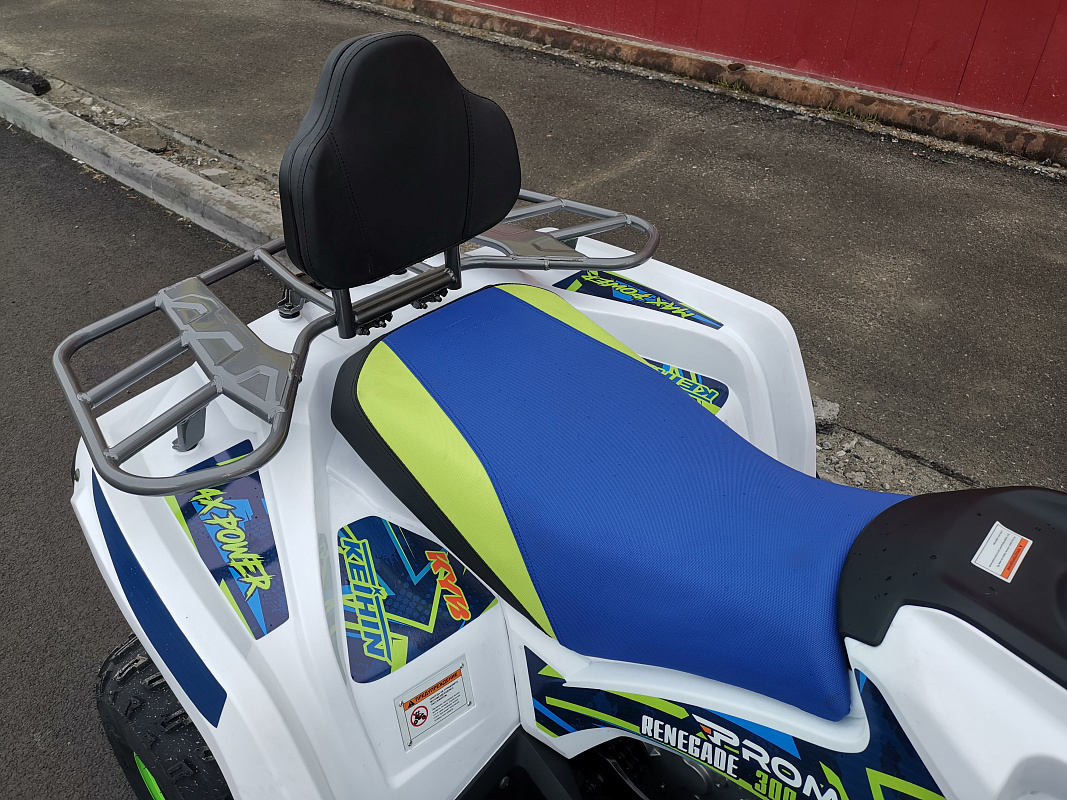 Квадроцикл PROMAX RENEGADE 280 LUX (2025) в Кисловодске