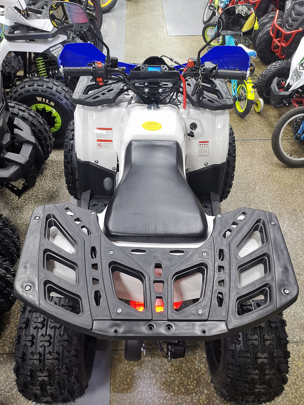 Квадроцикл PROMAX WILD 175 LUX в Кисловодске