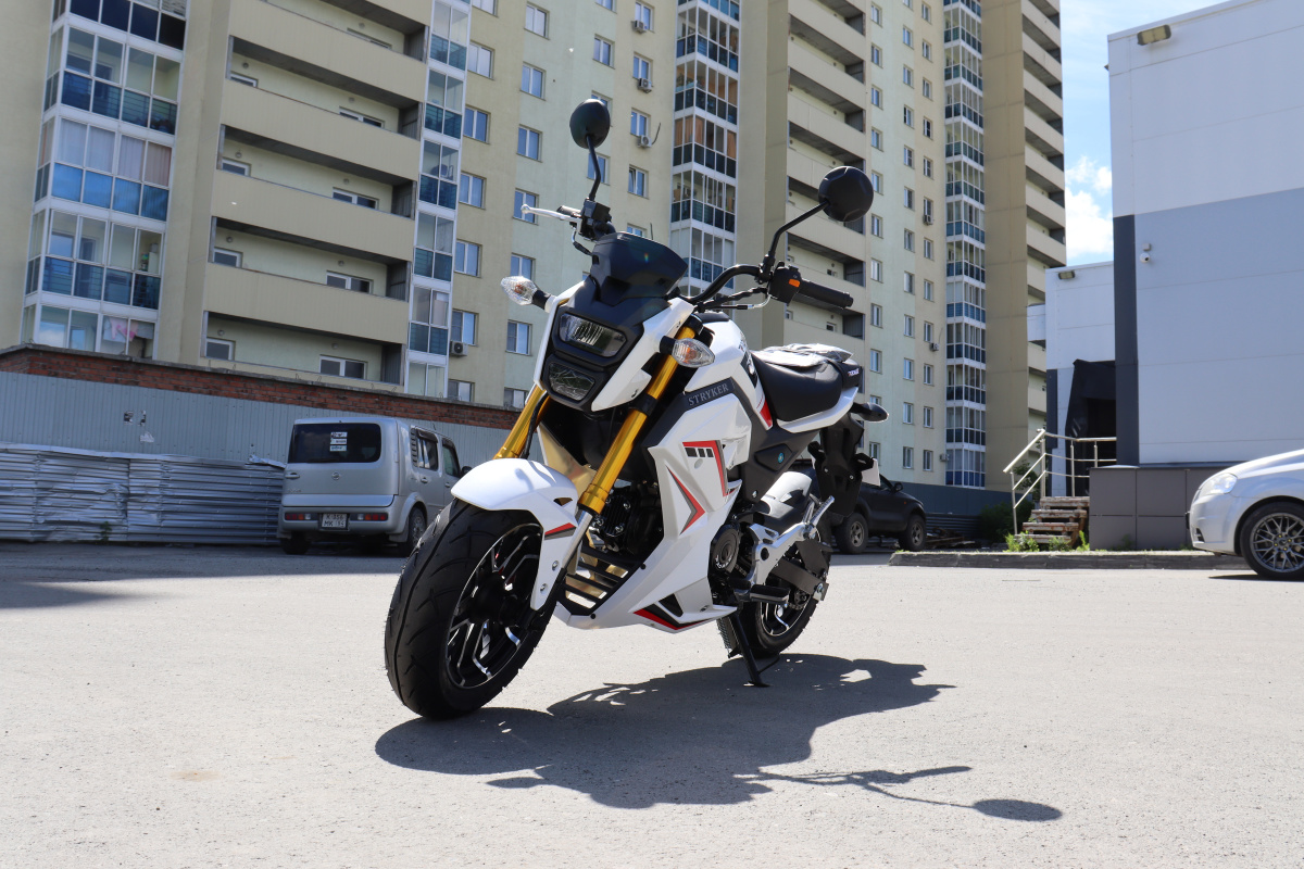 Мотоцикл PROMAX STRYKER 200(49) 2.0 в Кисловодске