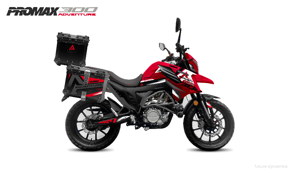 Мотоцикл PROMAX ADVENTURE 300 PRO EFI (NB300) в Кисловодске