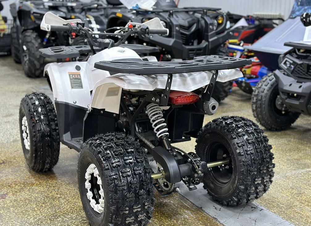 Квадроцикл PROMAX WILD 2.0 190 в Кисловодске