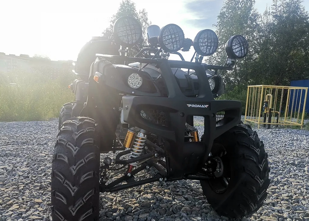 Квадроцикл PROMAX LEO 300 Max (кардан) в Кисловодске
