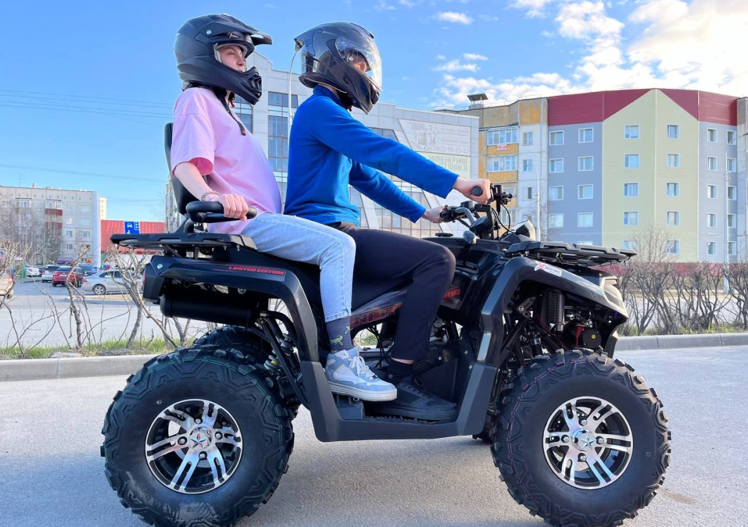 Квадроцикл PROMAX RENEGADE 300 LONG WINCH PRO в Кисловодске