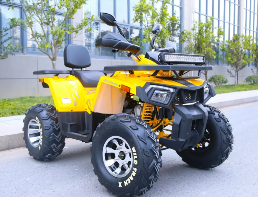 Квадроцикл MOTOLAND (МОТОЛЕНД) VOX200 WILD TRACK X PRO (баланс. вал) в Кисловодске