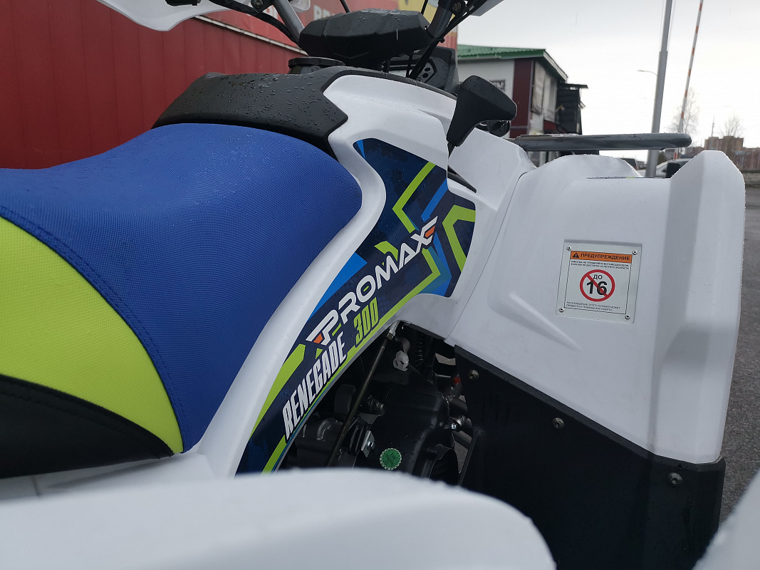 Квадроцикл PROMAX RENEGADE 280 LUX (2025) в Кисловодске
