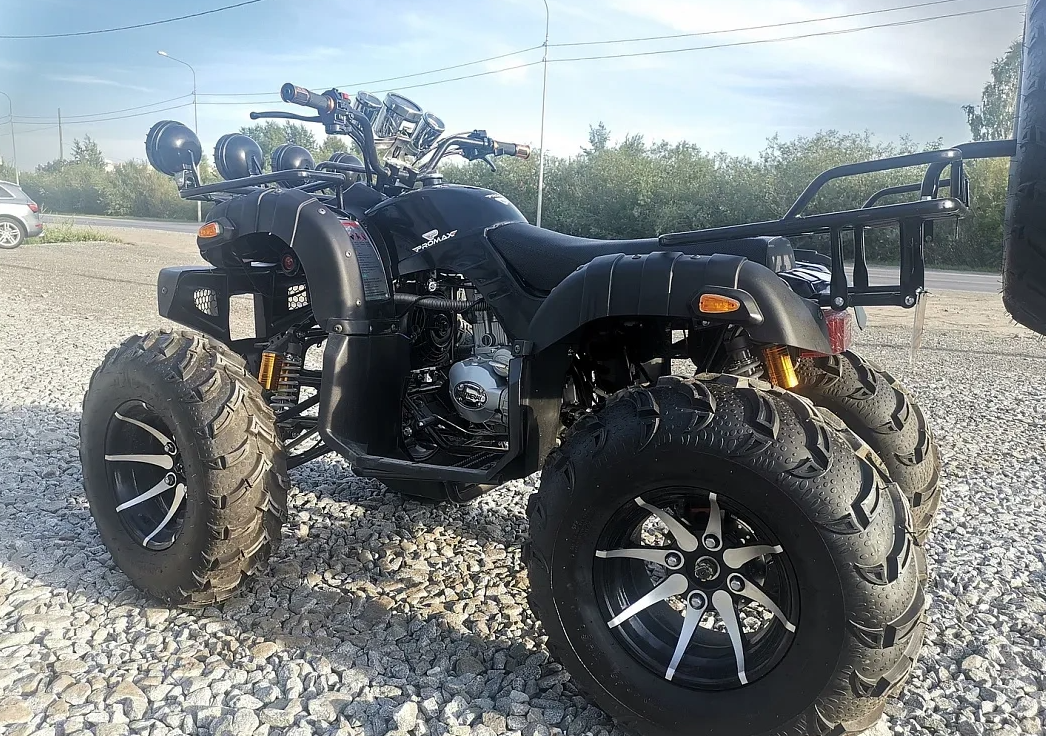 Квадроцикл PROMAX LEO 300 Max (кардан) в Кисловодске