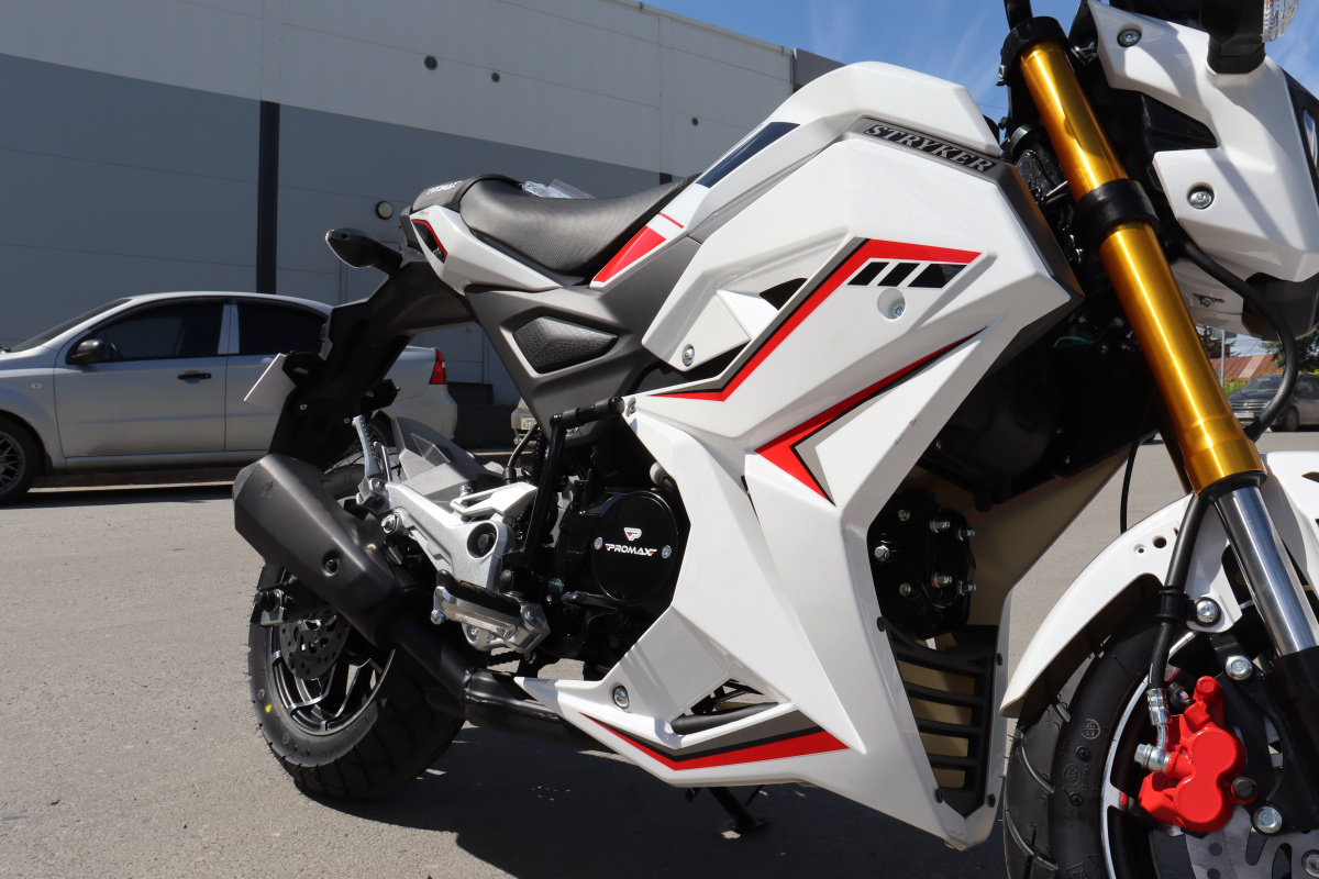 Мотоцикл PROMAX STRYKER 200(49) 2.0 в Кисловодске
