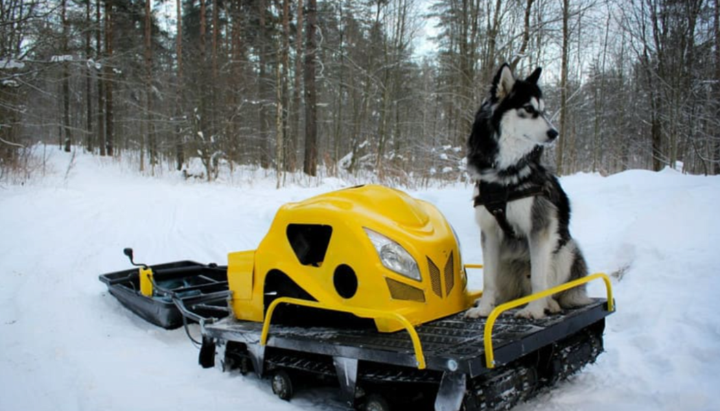 Мотобуксировщик LEBEDEV MOTORS ВОЛКОДАВ POWER V13 в Кисловодске