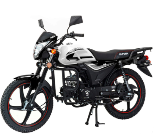 Мопед MOTOLAND (МОТОЛЕНД) Альфа RS 11 (LM48-B) в Кисловодске