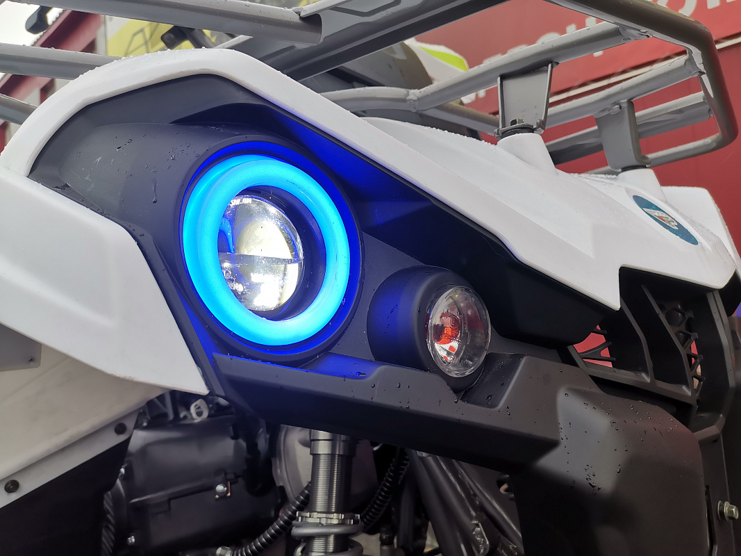 Квадроцикл PROMAX RENEGADE 280 LUX (2025) в Кисловодске