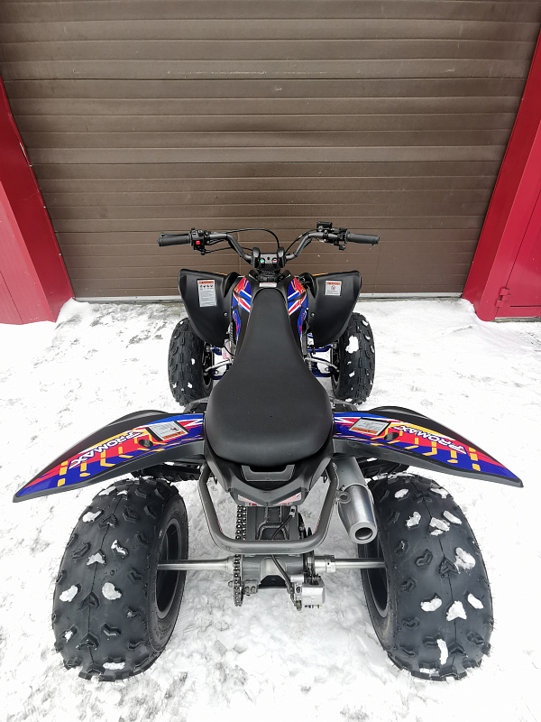 Квадроцикл PROMAX RAPTOR 300 NEW RedBull в Кисловодске