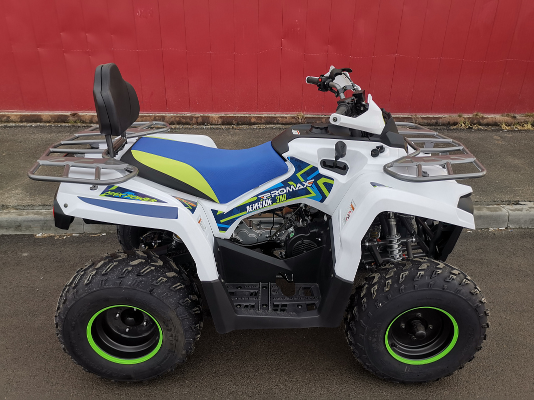 Квадроцикл PROMAX RENEGADE 280 LUX (2025) в Кисловодске