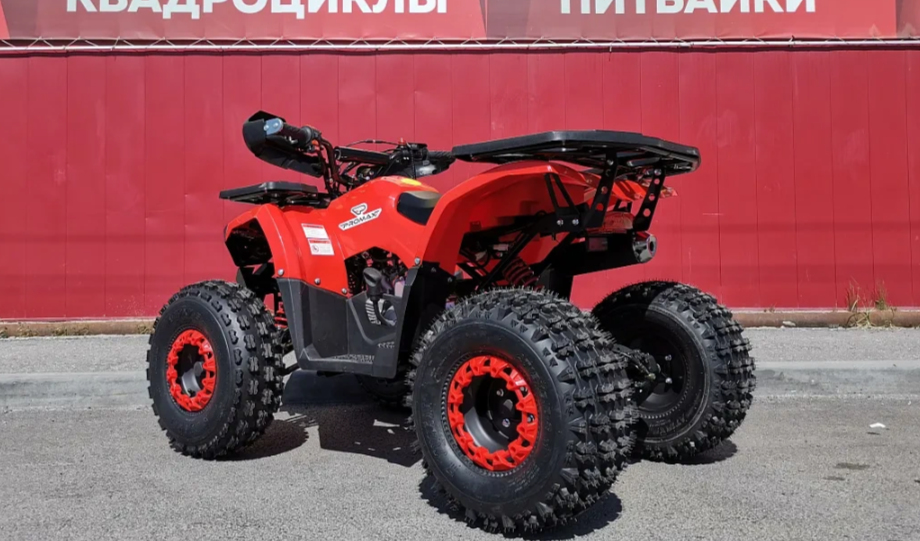 Квадроцикл PROMAX WILD 175 BASIC в Кисловодске