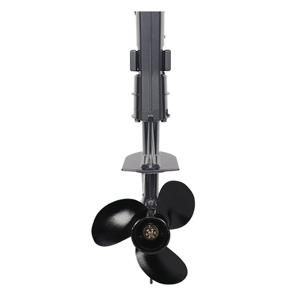 ЛОДОЧНЫЙ МОТОР ALLFA CG T5 в Кисловодске