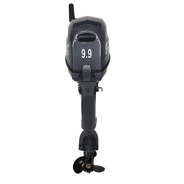 Лодочный мотор ALLFA CG Т9.9(20)MAX в Кисловодске