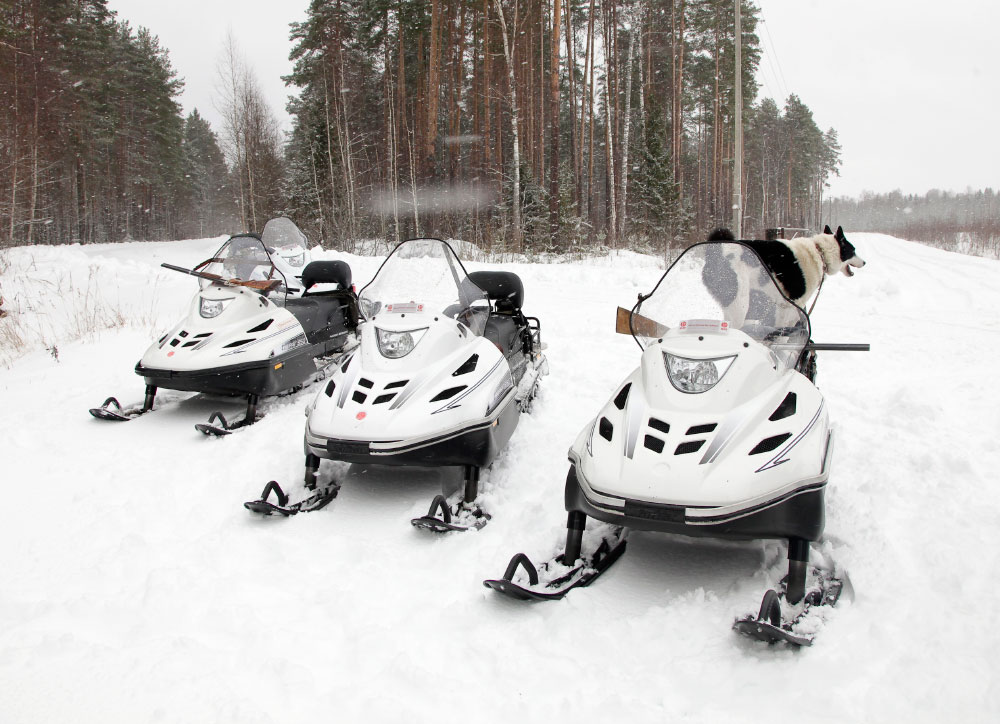 СНЕГОХОД РМ ТАЙГА ВАРЯГ 550 V в Кисловодске