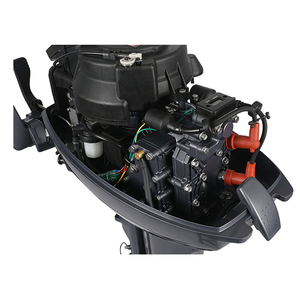 ЛОДОЧНЫЙ МОТОР ALLFA CG Т9,9 в Кисловодске