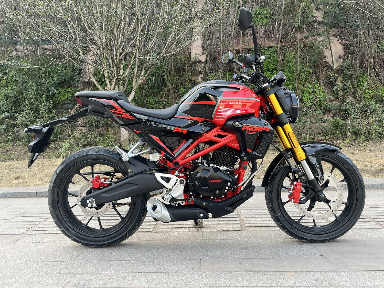 Мотоцикл PROMAX CB300 в Кисловодске