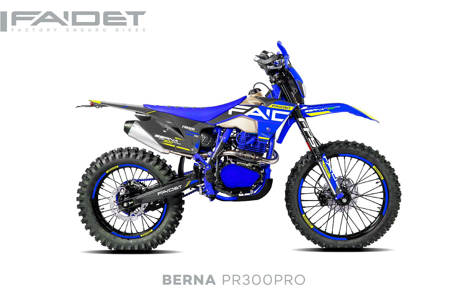 Кроссовый мотоцикл FAIDET BERNA PR300-PRO FPS в Кисловодске