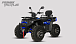 Квадроцикл PROMAX TAURUS 300 MAX-PRO LONG в Кисловодске