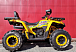 Квадроцикл PROMAX STORM 280 LUX в Кисловодске
