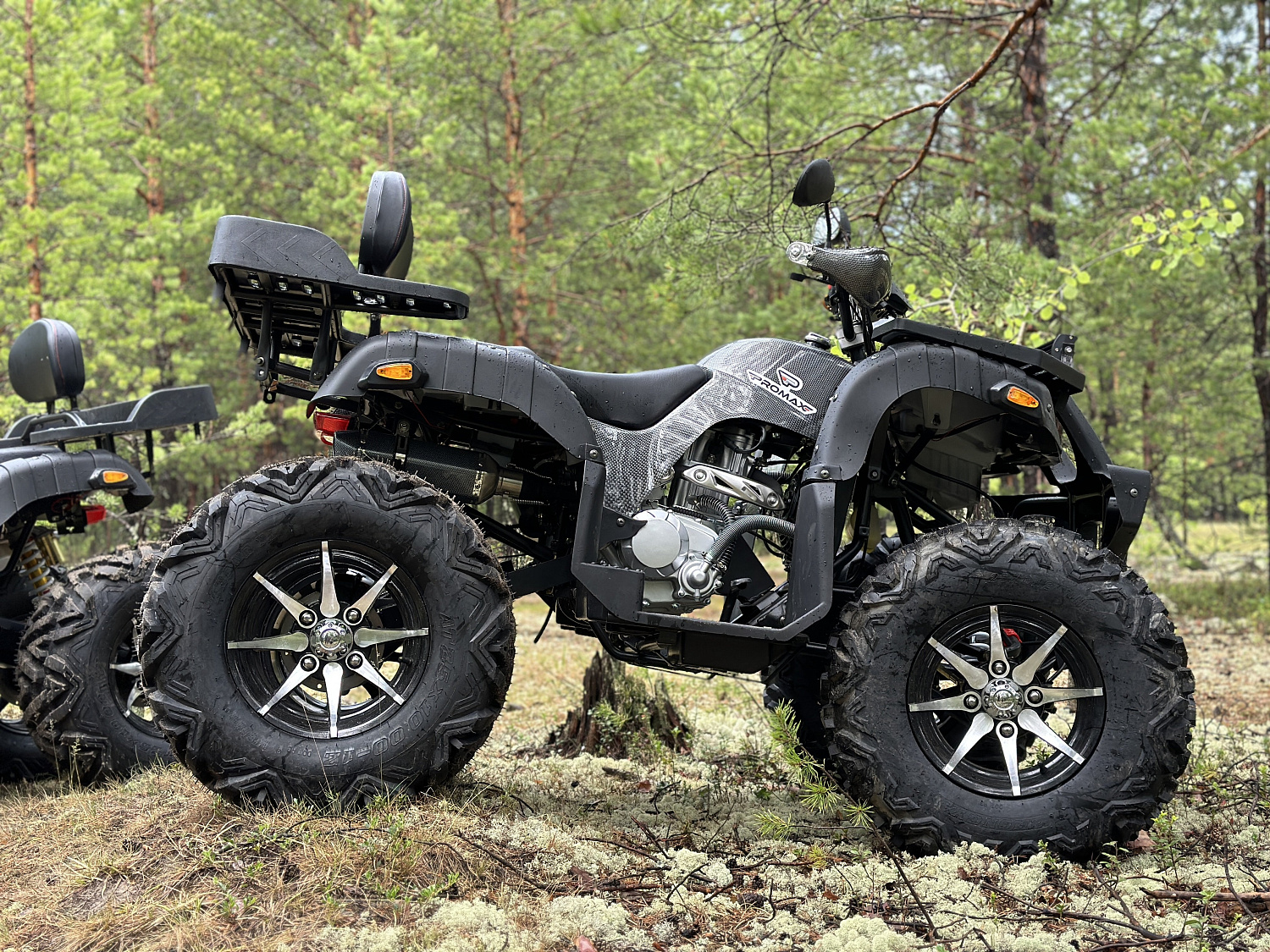 Квадроцикл PROMAX 320 DOMINATOR PRO (2025) в Кисловодске