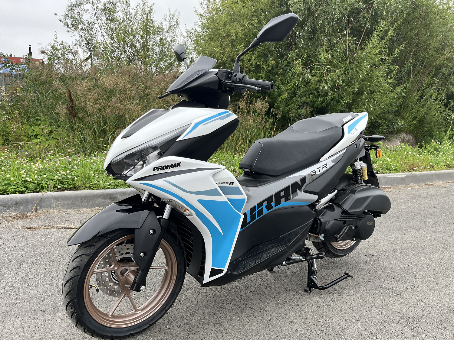 Скутер PROMAX TURAN 250 (49) в Кисловодске