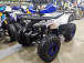 Квадроцикл PROMAX WILD 175 LUX в Кисловодске