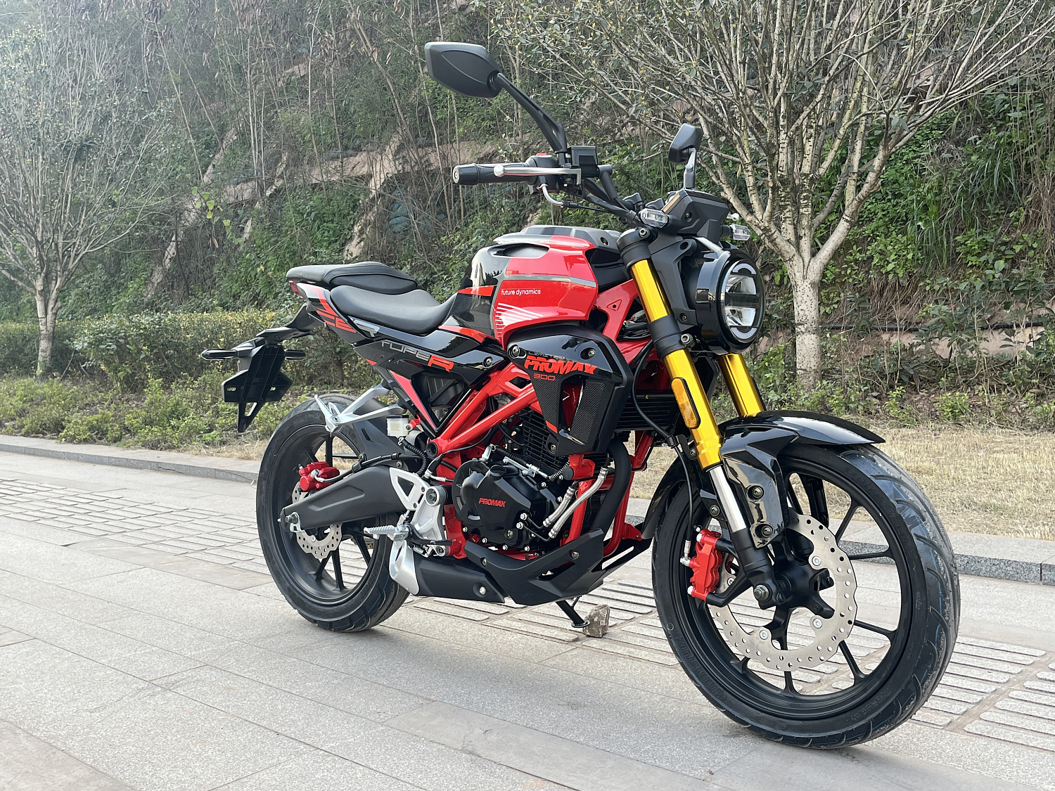 Мотоцикл PROMAX CB300 в Кисловодске