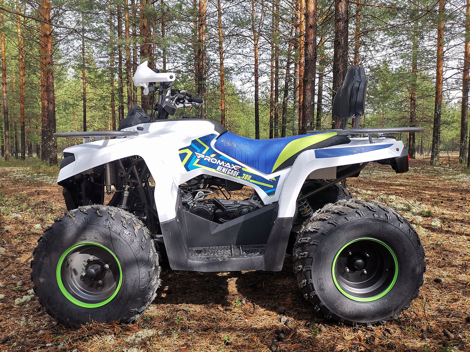 Квадроцикл PROMAX RENEGADE 280 (2025) в Кисловодске