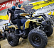 Квадроцикл PROMAX ATV 250 (2025) в Кисловодске