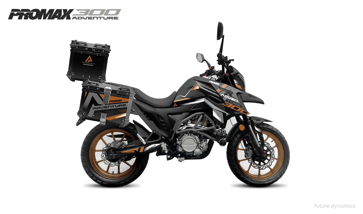 Мотоцикл PROMAX ADVENTURE 300 PRO EFI (NB300) в Кисловодске